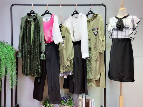 溆牌2018新款秋裝 休閑時(shí)尚女裝精品貨源