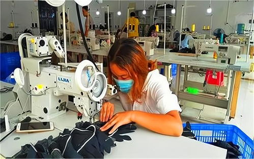 鄉村創業新機遇 代加工廠項目選擇與投資策略全解析